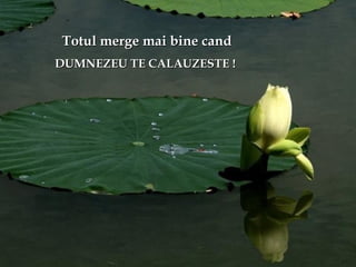 Totul merge mai bine candTotul merge mai bine cand
DUMNEZEU TE CALAUZESTE !DUMNEZEU TE CALAUZESTE !
 