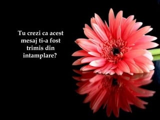 Tu crezi ca acestTu crezi ca acest
mesaj ti-a fostmesaj ti-a fost
trimis dintrimis din
intamplare?intamplare?
 