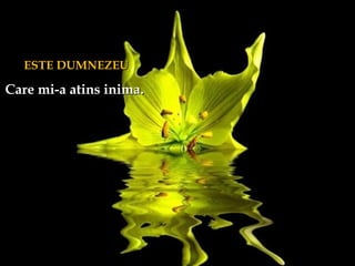 ESTE DUMNEZEUESTE DUMNEZEU
Care mi-a atins inima.Care mi-a atins inima.
 