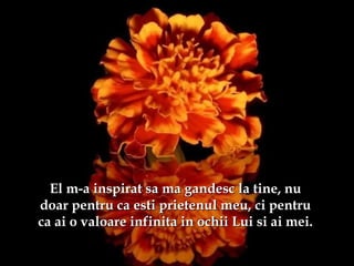 El m-a inspirat sa ma gandesc la tine, nuEl m-a inspirat sa ma gandesc la tine, nu
doar pentru ca esti prietenul meu, ci pentrudoar pentru ca esti prietenul meu, ci pentru
ca ai o valoare infinita in ochii Lui si ai mei.ca ai o valoare infinita in ochii Lui si ai mei.
 