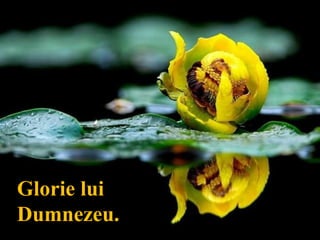 Glorie luiGlorie lui
Dumnezeu.Dumnezeu.
 