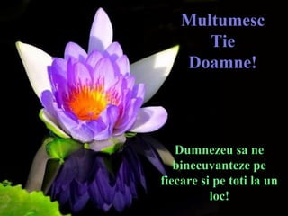 MultumescMultumesc
TieTie
Doamne!Doamne!
Dumnezeu sa neDumnezeu sa ne
binecuvanteze pebinecuvanteze pe
fiecare si pe toti la unfiecare si pe toti la un
loc!loc!
 