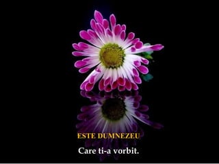ESTE DUMNEZEUESTE DUMNEZEU
Care ti-a vorbit.Care ti-a vorbit.
 