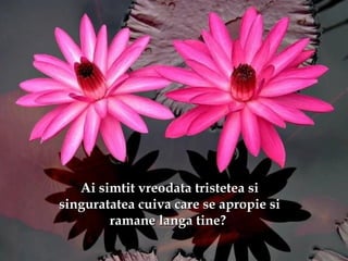 Ai simtit vreodata tristetea siAi simtit vreodata tristetea si
singuratatea cuiva care se apropie sisinguratatea cuiva care se apropie si
ramane langa tine?ramane langa tine?
 