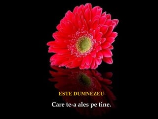 ESTE DUMNEZEUESTE DUMNEZEU
Care te-a ales pe tine.Care te-a ales pe tine.
 
 