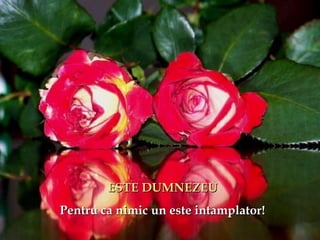 ESTE DUMNEZEUESTE DUMNEZEU
Pentru ca nimic un este intamplator!Pentru ca nimic un este intamplator!
 