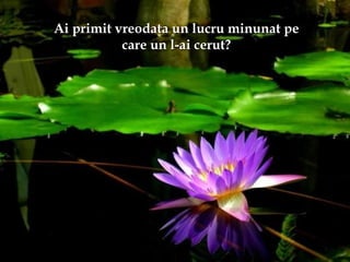 Ai primit vreodata un lucru minunat peAi primit vreodata un lucru minunat pe
care un l-ai cerut?care un l-ai cerut?
 