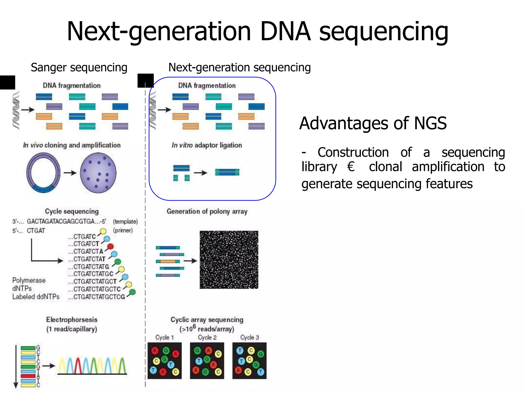 Introduction to NGS http://ueb.ir.vhebron.net/NGS
Next-generation DNA sequencing
Sanger sequencing Next-generation sequencing
Advantages of NGS
- Construction of a sequencing
library € clonal amplification to
generate sequencing features
 