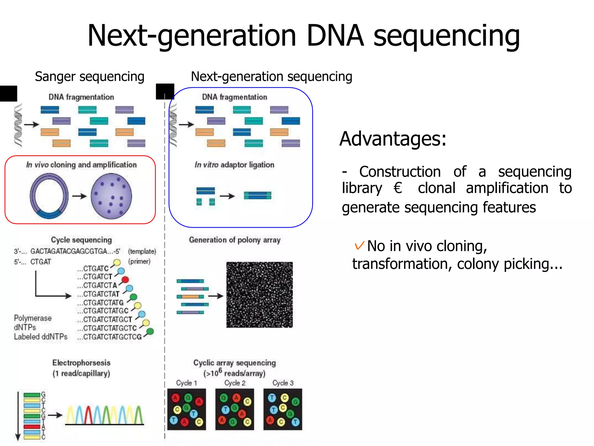 Introduction to NGS http://ueb.ir.vhebron.net/NGS
Next-generation DNA sequencing
Sanger sequencing Next-generation sequencing
Advantages:
- Construction of a sequencing
library € clonal amplification to
generate sequencing features
✓No in vivo cloning,
transformation, colony picking...
 