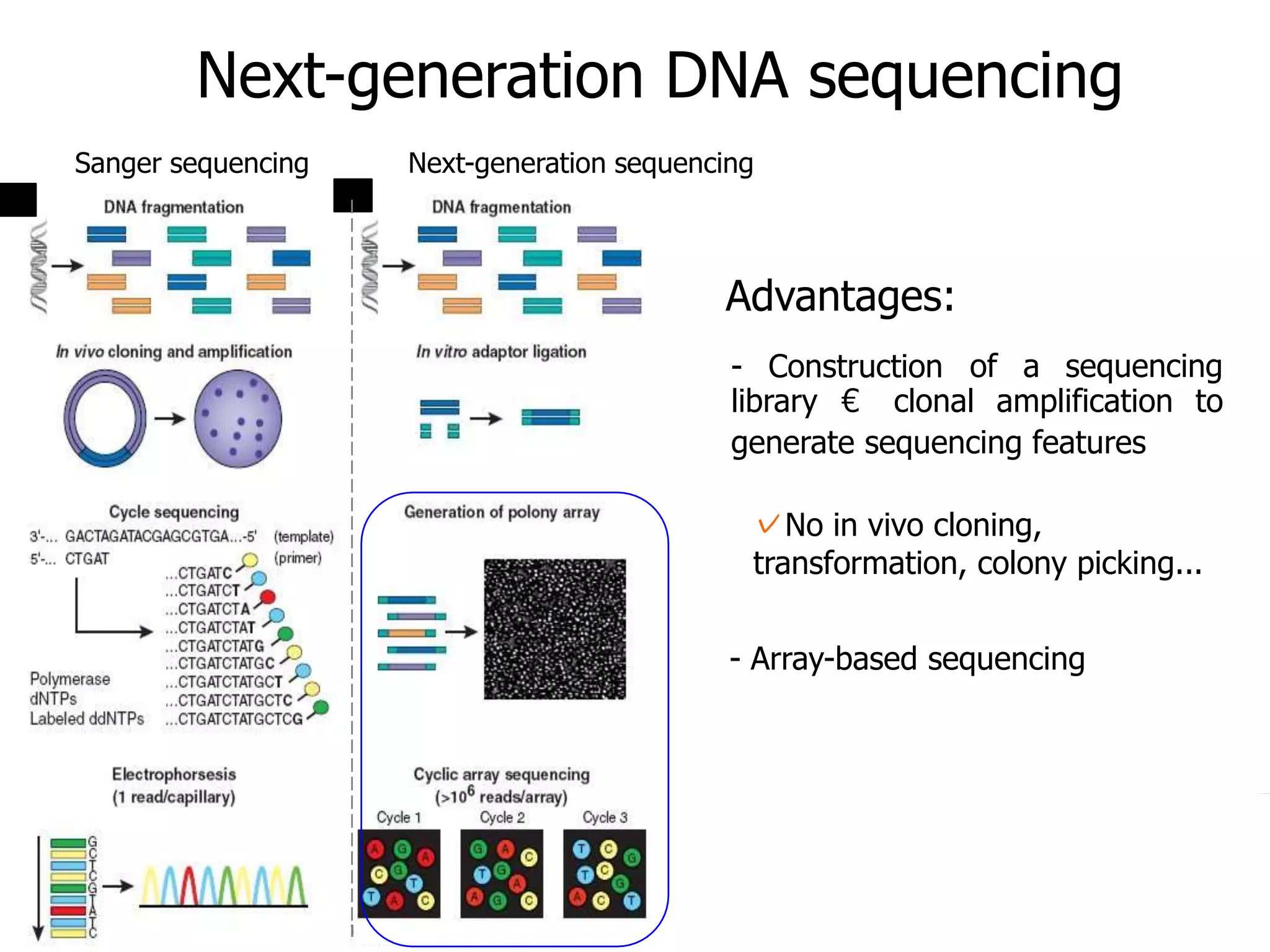 Introduction to NGS http://ueb.ir.vhebron.net/NGS
Next-generation DNA sequencing
Sanger sequencing Next-generation sequencing
Advantages:
- Construction of a sequencing
library € clonal amplification to
generate sequencing features
✓No in vivo cloning,
transformation, colony picking...
- Array-based sequencing
 
