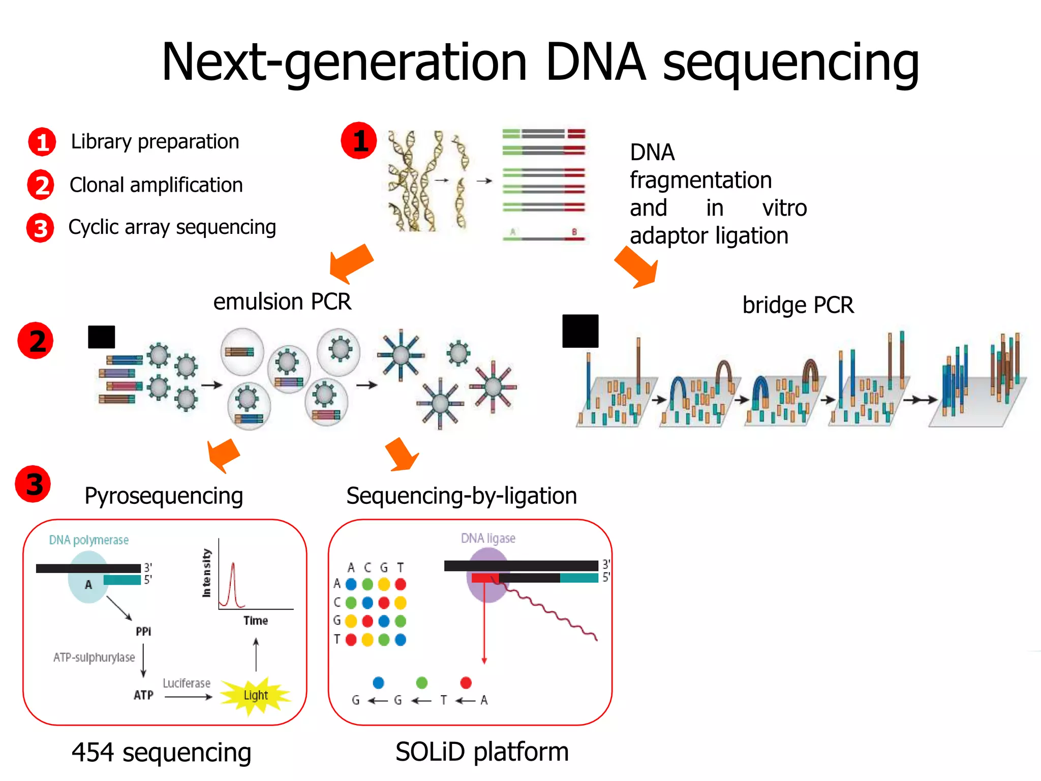 Introduction to NGS http://ueb.ir.vhebron.net/NGS
Next-generation DNA sequencing
DNA
fragmentation
and in vitro
adaptor ligation
bridge PCR
Pyrosequencing Sequencing-by-ligation
1
emulsion PCR
2
3
1
2
3
454 sequencing SOLiD platform
Cyclic array sequencing
Library preparation
Clonal amplification
 