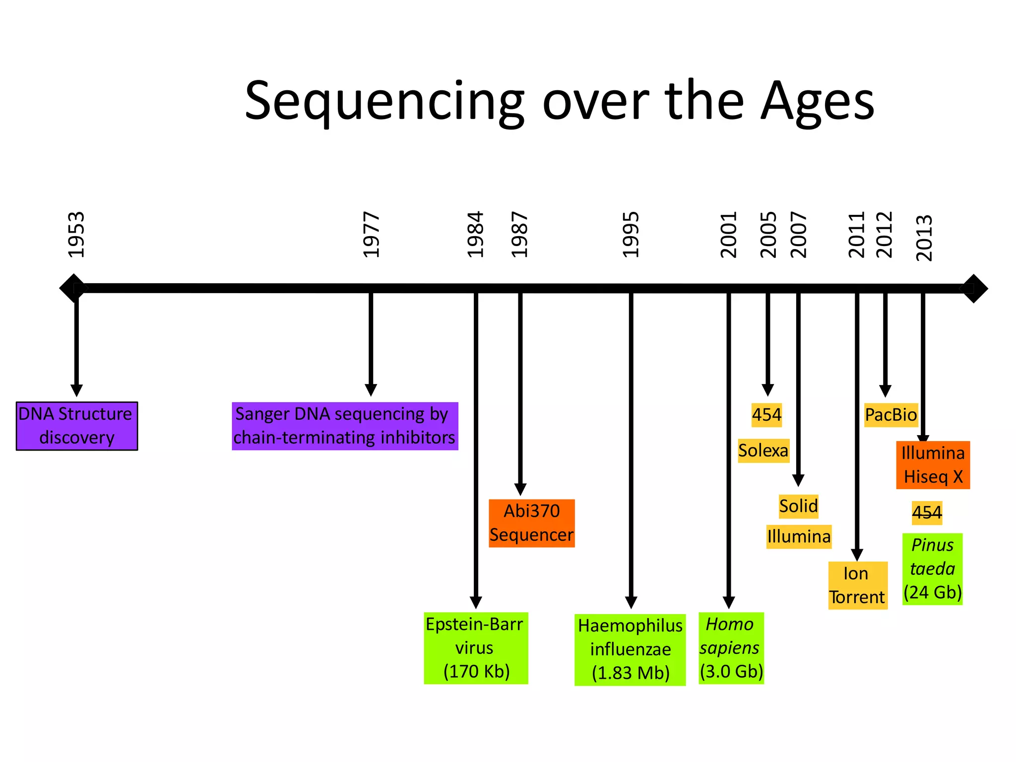 1953
DNA Structure
discovery
1977
Sanger DNA sequencing by
chain-terminating inhibitors
Epstein-Barr
virus
(170 Kb)
1984
1987Abi370
Sequencer
1995 Homo
sapiens
(3.0 Gb)
454
Solexa
Solid
2001
2005
2007
Ion
Torrent
PacBio
Haemophilus
influenzae
(1.83 Mb)
2011
2012
2013
Sequencing over the Ages
Illumina
Illumina
Hiseq X
454
Pinus
taeda
(24 Gb)
 