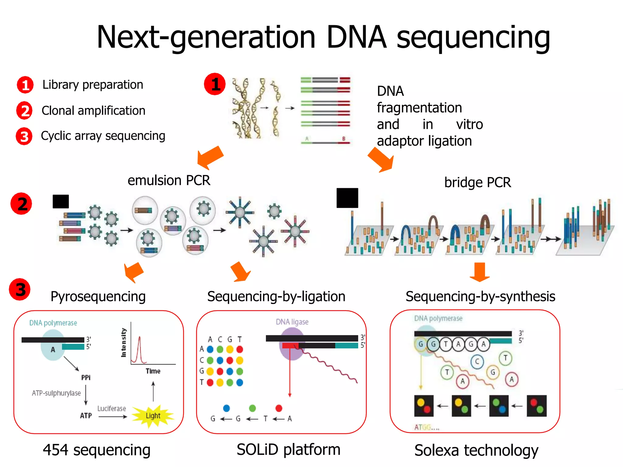 Introduction to NGS http://ueb.ir.vhebron.net/NGS
Next-generation DNA sequencing
DNA
fragmentation
and in vitro
adaptor ligation
bridge PCR
Pyrosequencing Sequencing-by-ligation Sequencing-by-synthesis
1
emulsion PCR
2
3
1
2
3
454 sequencing SOLiD platform Solexa technology
Cyclic array sequencing
Library preparation
Clonal amplification
 