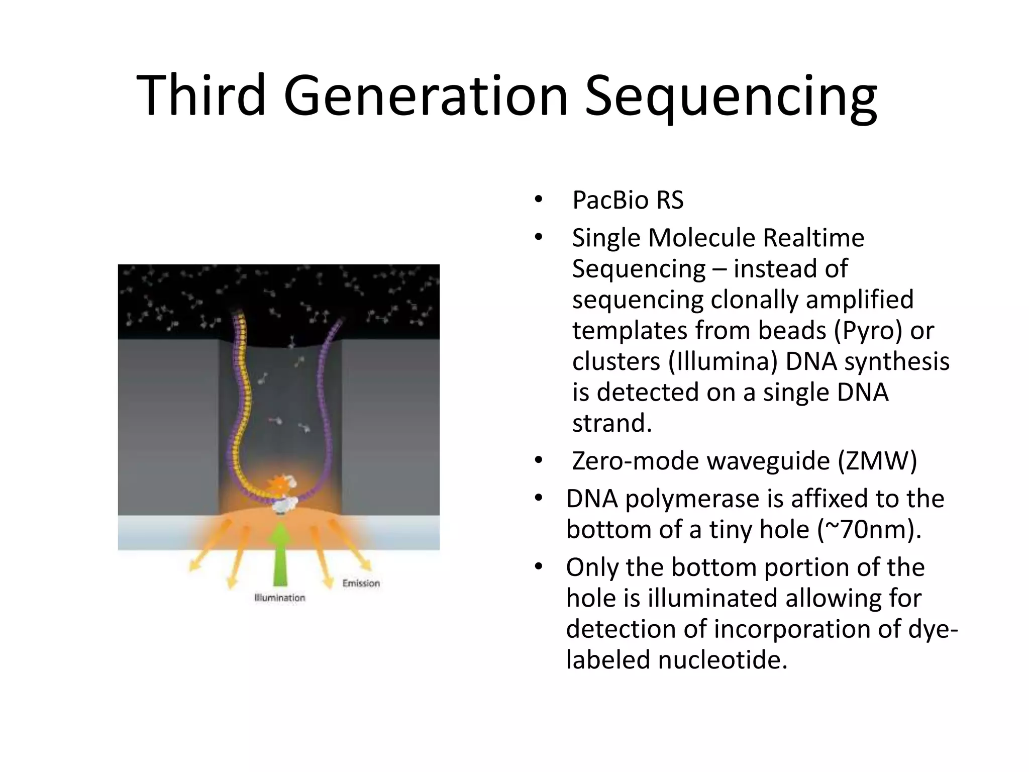 Third Generation Sequencing
• PacBio RS
• Single Molecule Realtime
Sequencing – instead of
sequencing clonally amplified
templates from beads (Pyro) or
clusters (Illumina) DNA synthesis
is detected on a single DNA
strand.
• Zero-mode waveguide (ZMW)
• DNA polymerase is affixed to the
bottom of a tiny hole (~70nm).
• Only the bottom portion of the
hole is illuminated allowing for
detection of incorporation of dye-
labeled nucleotide.
 