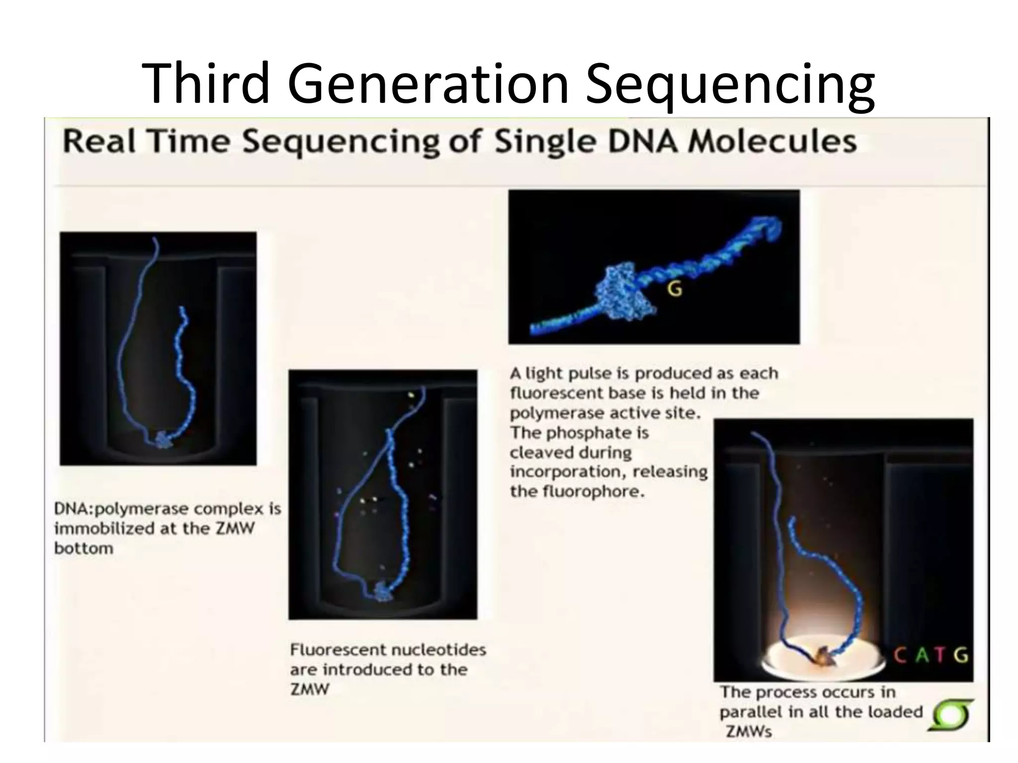 Third Generation Sequencing
 