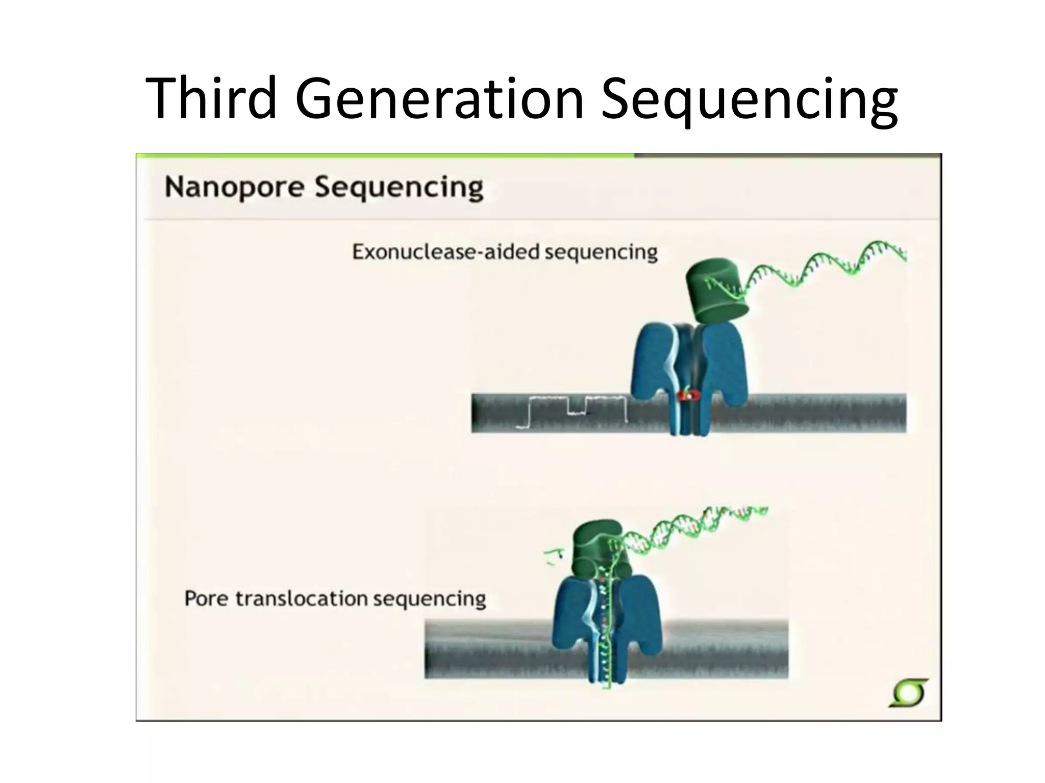 Third Generation Sequencing
 