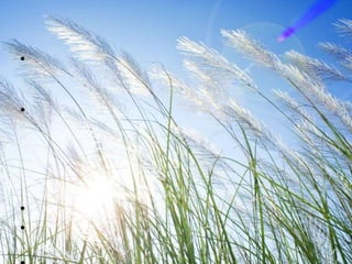 •


•




•
•
 