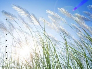 •


•
•
•
•
•
 