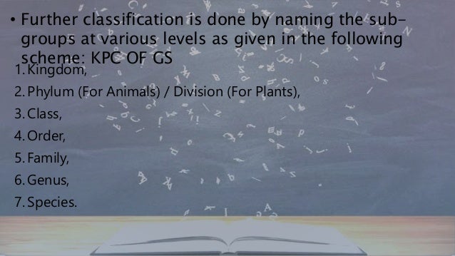 BACTERIA ARE GROUPED UNDER FOUR CATEGORIES
BASED ON THEIR SHAPE
1. THE SPHERICAL
COCCUS
2. THE ROD-SHAPED
BACILLUS
3. THE ...