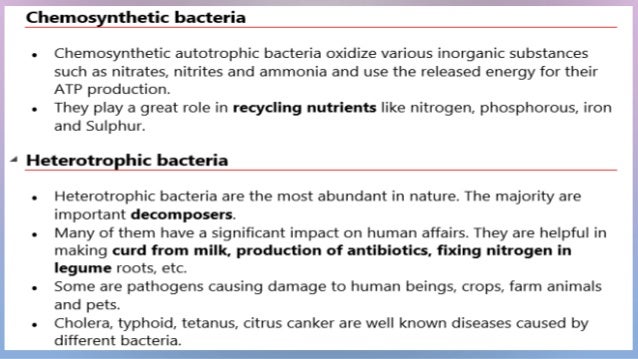 Biological Classification