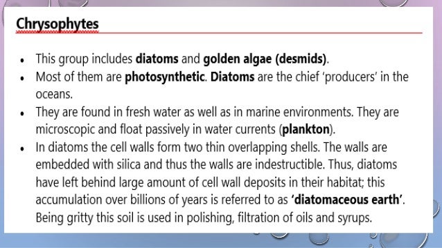 Biological Classification