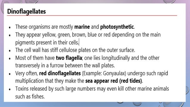 Biological Classification