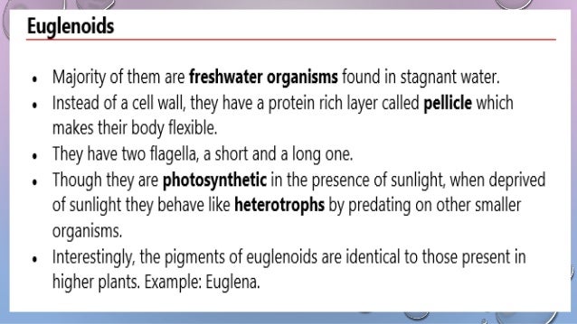 Biological Classification