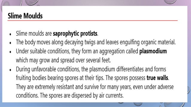 Biological Classification