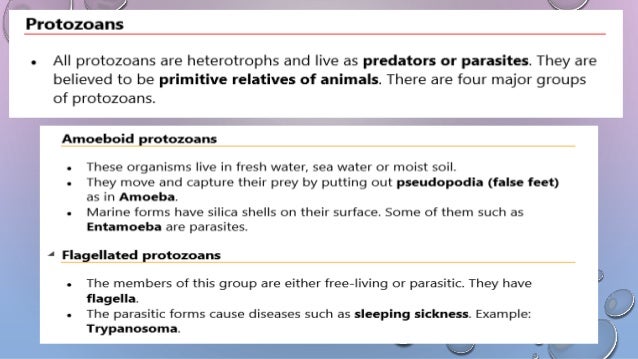 Biological Classification