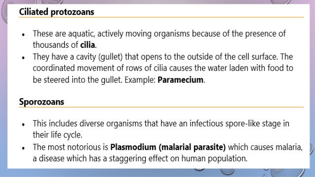 Biological Classification