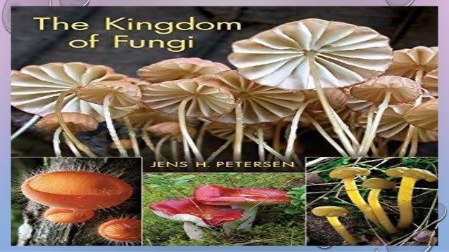 Biological Classification