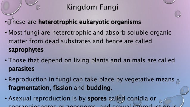 Biological Classification