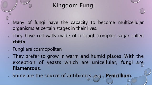 Biological Classification