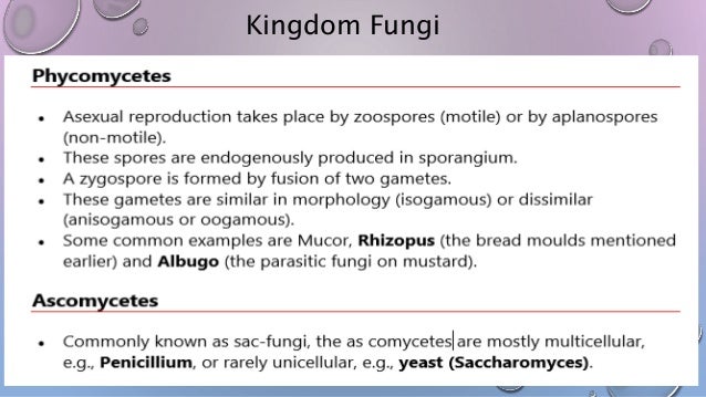 Biological Classification