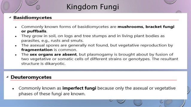 Biological Classification