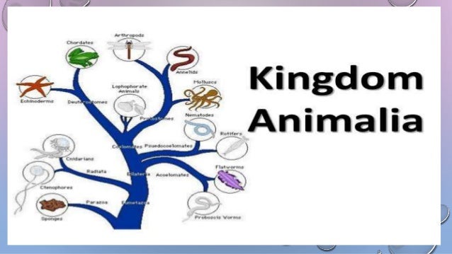 Biological Classification