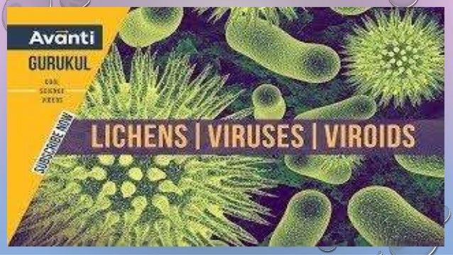 Biological Classification