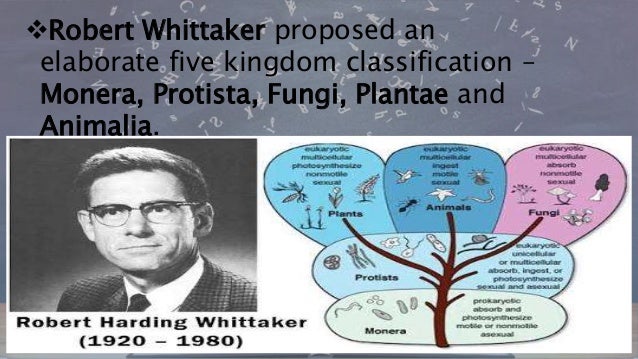 BIOLOGICAL CLASSIFICATION OF ANIMALS
AND PLANTS
At present, the biological
classification includes:
1. Kingdom Monera
2. K...