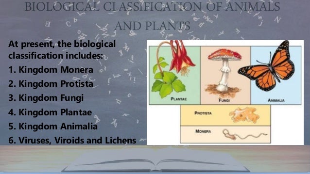  The plantae include all eukaryotic chlorophyll-containing
organisms. Algae, bryophytes, pteridophytes, gymnosperms and
a...