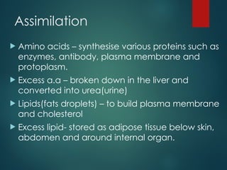 G8 Science Q4- Week 1- Absorption-n-Assimilation.ppt