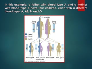 G8 Science Q4- Week 3-Patterns-of-Inheritance.ppt