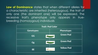 G8 Science Q4- Week 3-Patterns-of-Inheritance.ppt