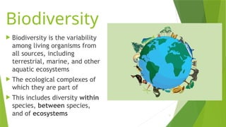 Ecosystem Variability G8 Science Q4- Week 5- BIODIVERSITY-and-ECOSYSTEM-STABILITY.pptx