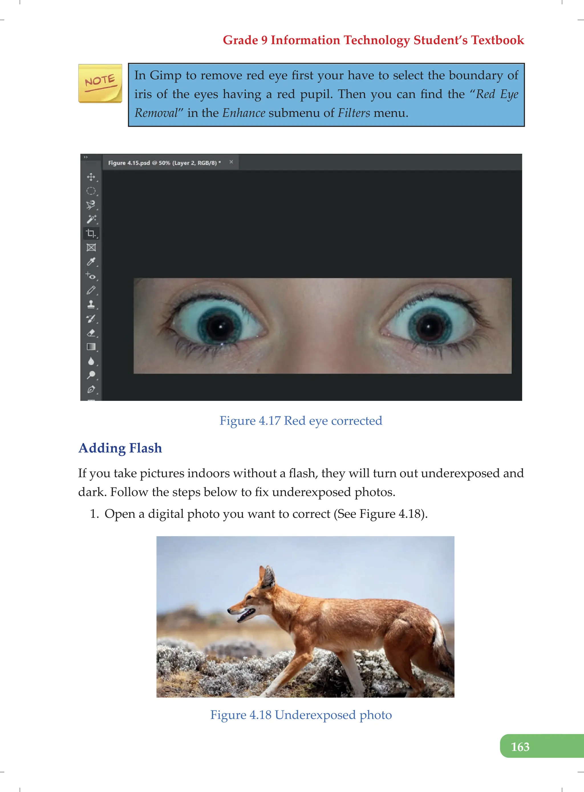 Grade 9 Information Technology Student’s Textbook
163
In Gimp to remove red eye first your have to select the boundary of
iris of the eyes having a red pupil. Then you can find the “Red Eye
Removal” in the Enhance submenu of Filters menu.
Figure 4.17 Red eye corrected
Adding Flash
If you take pictures indoors without a flash, they will turn out underexposed and
dark. Follow the steps below to fix underexposed photos.
1. Open a digital photo you want to correct (See Figure 4.18).
Figure 4.18 Underexposed photo
 