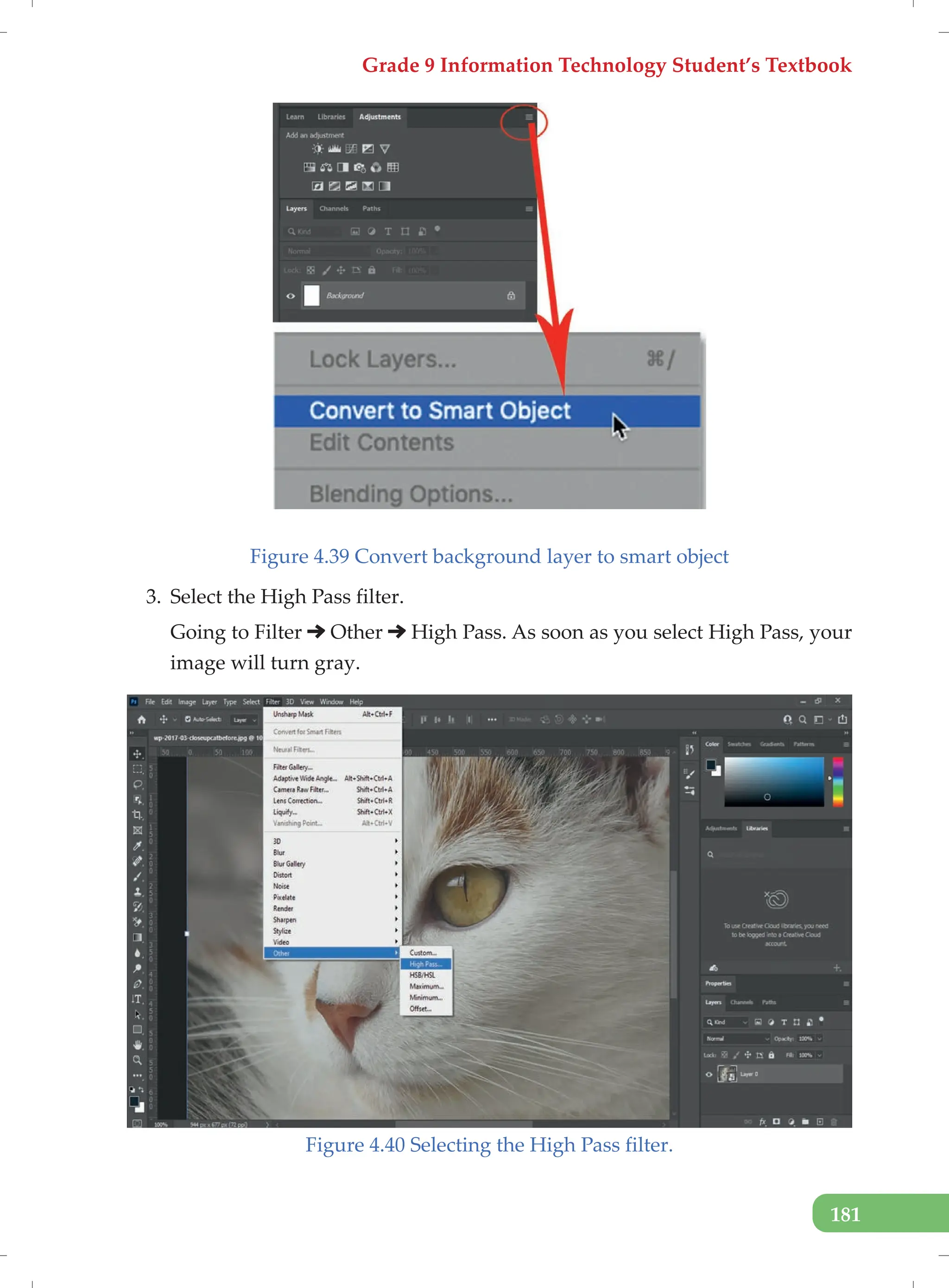 Grade 9 Information Technology Student’s Textbook
181
Figure 4.39 Convert background layer to smart object
3. Select the High Pass filter.
Going to Filter Other High Pass. As soon as you select High Pass, your
image will turn gray.
Figure 4.40 Selecting the High Pass filter.
 