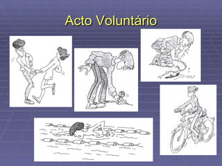 Acto Voluntário 