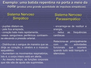 Exemplo: uma batida repentina na porta a meio da noite  (produz uma grande quantidade de impulsos simpáticos). Sistema Nervoso Simpático Sistema Nervoso Parassimpático encarrega-se de restituir a energia,  reduz as frequências cardíacas Relaciona-se principalmente com as actividades funcionais que ocorrem quando tudo está tranquilo e silencioso.  pupilas dilatam-se,  pele fica arrepiada,  coração bate mais rapidamente,  vasos sanguíneos periféricos contraem-se elevando a pressão arterial.  Distribui-se o sangue de maneira que se dirija ao coração, o cérebro e o músculo esquelético.  Aumentam os movimentos respiratórios, isto é, o corpo inteiro está em alerta.  Ao mesmo tempo, as funções corporais que não são de ajuda são suprimidas.  