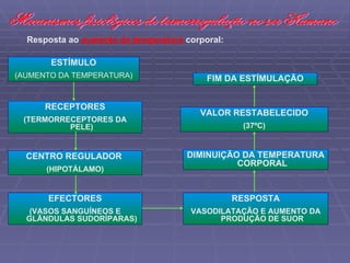 RECEPTORES (TERMORRECEPTORES DA PELE) CENTRO REGULADOR  (HIPOTÁLAMO) EFECTORES (VASOS SANGUÍNEOS E GLÂNDULAS SUDORÍPARAS) Resposta ao  aumento da temperatura   corporal: FIM DA ESTÍMULAÇÃO VALOR RESTABELECIDO (37ºC) DIMINUIÇÃO DA TEMPERATURA CORPORAL RESPOSTA VASODILATAÇÃO E AUMENTO DA PRODUÇÃO DE SUOR ESTÍMULO (AUMENTO DA TEMPERATURA) Mecanismos fisiológicos de termorregulação no ser Humano  