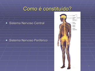 Como é constituído? Sistema Nervoso Central Sistema Nervoso Periférico 