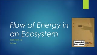 Flow of Energy in
an Ecosystem
CHAPTER 1.2
P41-44
 